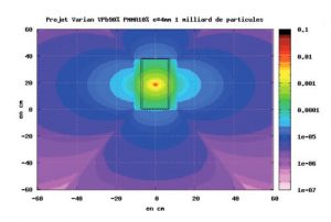 Zoning study carried out using the Fluka Monte Carlo simulation tool