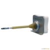 remote hanlding radioisotope tongs manipulation ball lemerpax