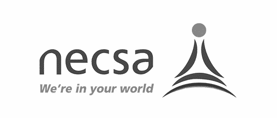 Logotipo de Nesca