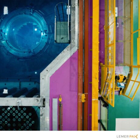 ARAMIS in nuclear environment