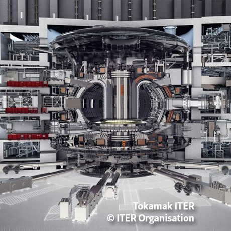 ITER Tokamak Top lid Lemer Pax